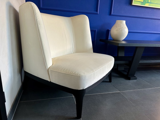 Image 1 of Flexform fauteuil XL DRAGONFLY by Roberto Lazzeroni