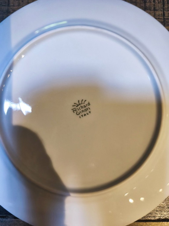 4 grote schotels Richard Ginori Blue Palermo Edition – Tafelwaar, Porcelain (photo 3 of 5)
