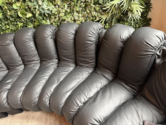 Image 1 of Sofá Sede DS-600