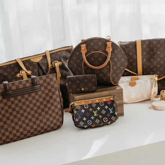 Louis Vuitton Parioli new PM Damier Ebene – Otros bolsos, Cuero, Lienzo, Vintage (photo 2 of 15)