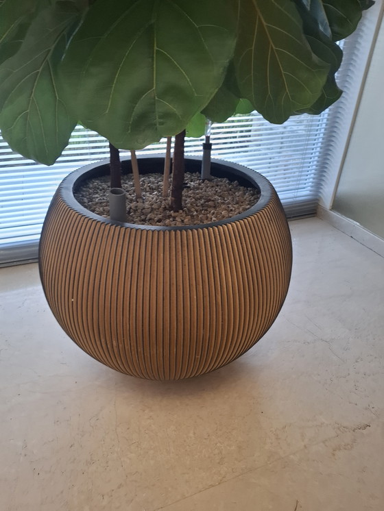 Image 1 of Pot Capi Groove, noir et or, 48 cm de haut et 63 cm de large