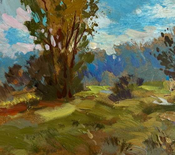 Image 1 of Origineel olieverfschilderij: Zomers boslandschap. Regen komt eraan.