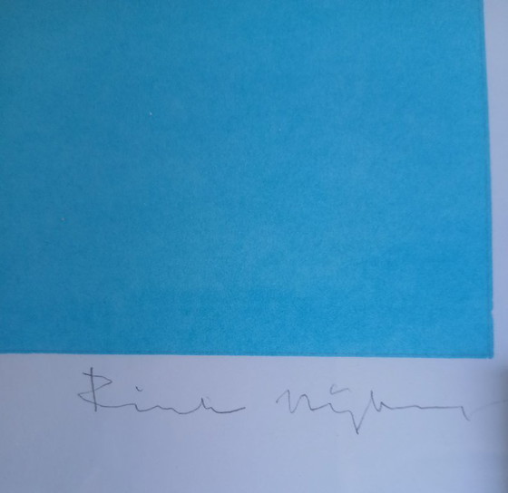 Image 1 of Rinke Nijburg