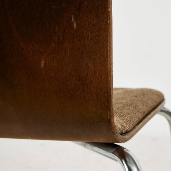 Image 1 of MK11234 Silla austriaca Wiesner-Hager