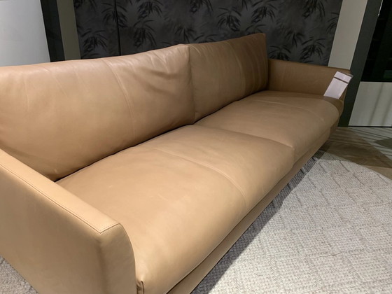 Image 1 of Montis Axel 4-seater sofa