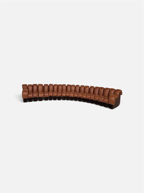 De Sede Ds600 Snake en cuir Cognac, 20 éléments, Canapés modulables, Textile, Marron (photo 6 sur 15)
