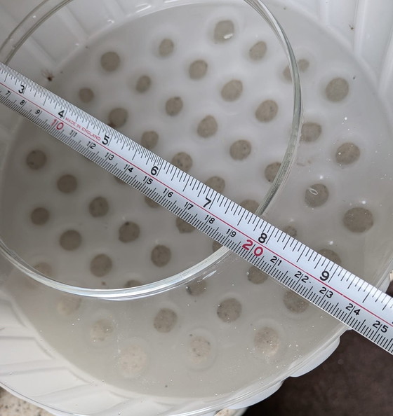 Image 1 of Mid century Ceiling Lamp Helena Tynell (?)