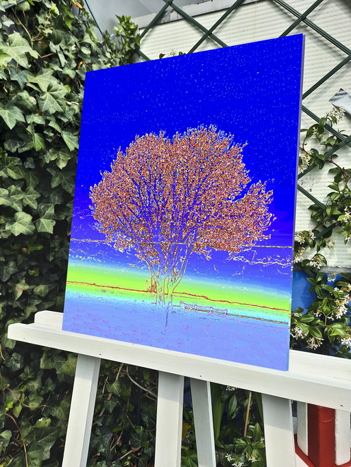 Sijbranda Tree of Life