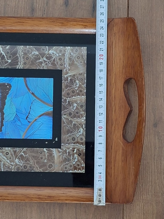 Vassoio Antico Ali di Farfalla Guyana Britannica – Farfalla Morpho – Oggetti decorativi, Vetro, Legno (photo 5 of 7)