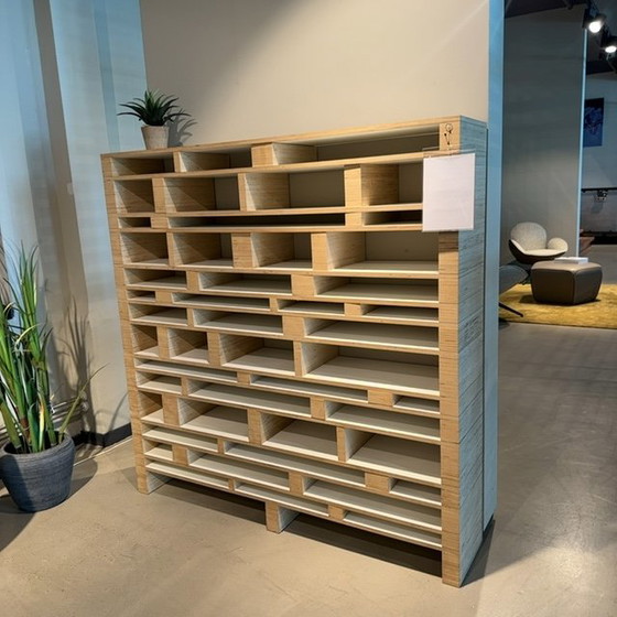 Image 1 of Pensile Spectrum Babel