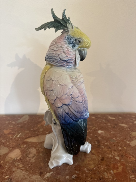 Porzellankakadu aus der Manufaktur Karl Ens – Dekorative Objekte, Porcelain (photo 3 of 7)