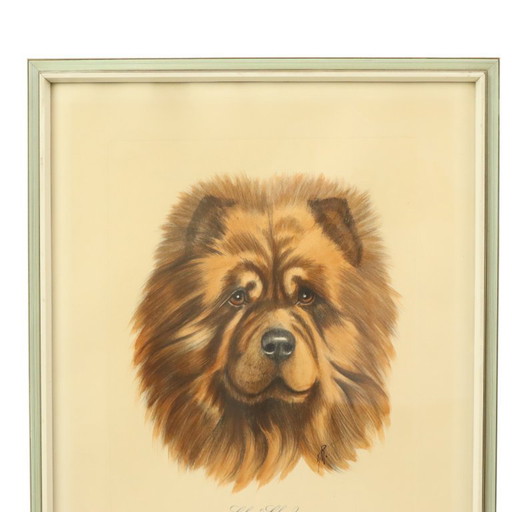 Vintage Kleuren Litho Hond Chow Chow