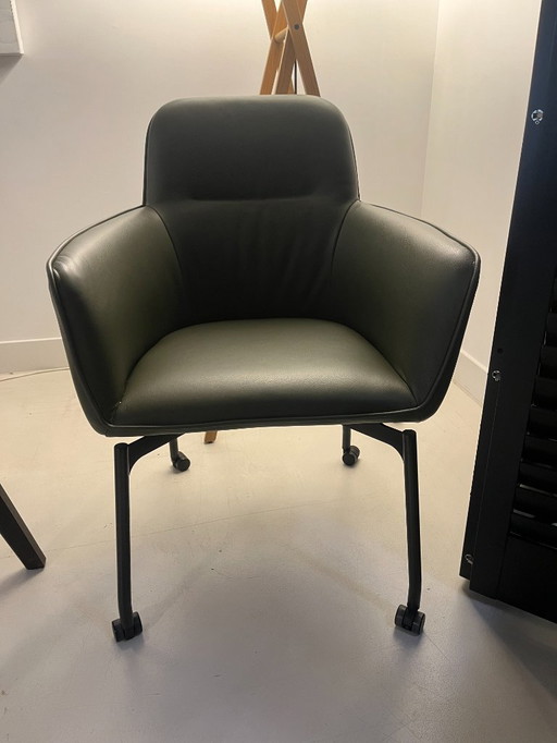 4 sedie Leolux Gyon Tour