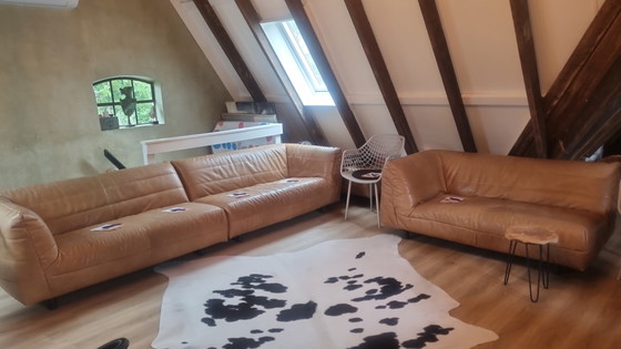 Spacious 6-Seater Sofa by Vandenberg – Label Van den Berg, Corner sofas, Leather, Plastic (photo 2 of 13)