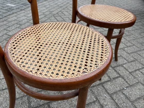 Sedie da bistrò in legno Josef Hofmann 2 pz. – Sedie da pranzo (photo 10 of 11)