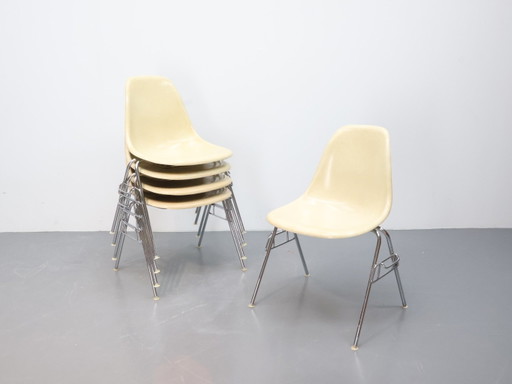 Vintage Esszimmerstuhl / Metall Fiberglas / Metall Ecru / 6er Set DSS Eames