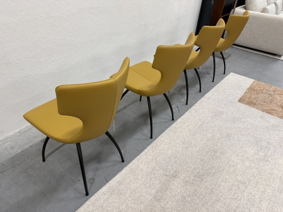 Image 1 of 4 Leolux Callas dining chairs yellow leather
