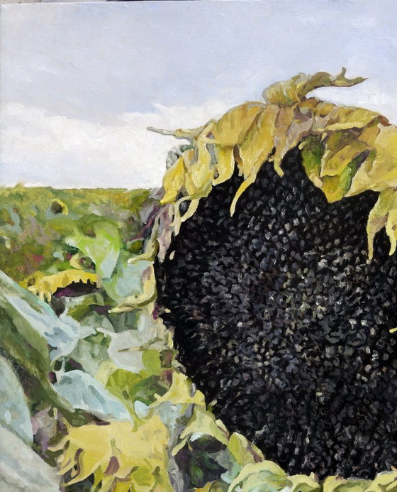 Pittura a Olio Originale Arte Contemporanea Simbolismo Semi di Girasole Per il Futuro Raccolto (photo 4 of 7)