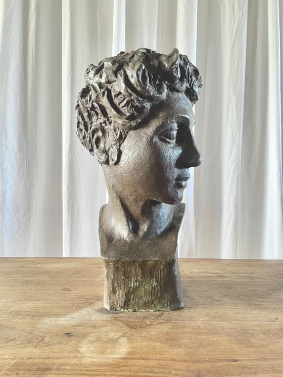 Image 1 of Terracotta bust with a bronze patina, inspired by antiquity, signed