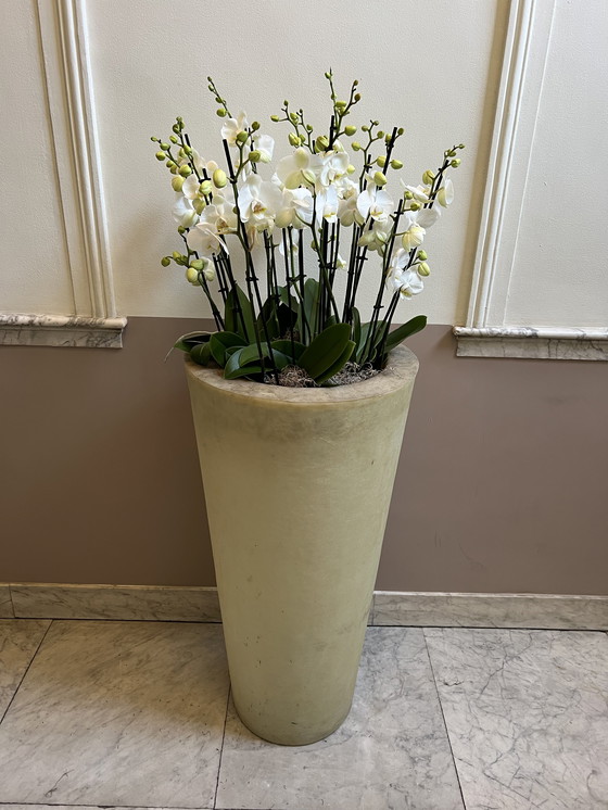 Image 1 of Jardinera de fibra de vidrio 1984 / 140 cm de alto