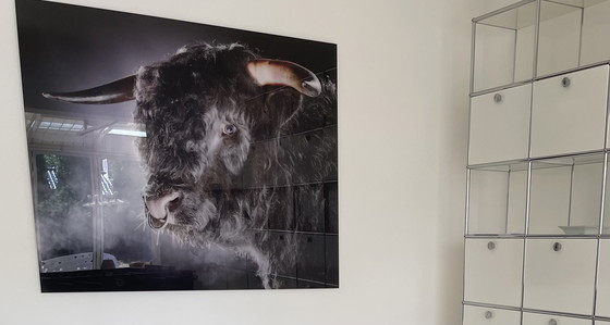 Image 1 of Alexander von Reiswitz