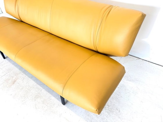 Leolux Tango Divano in Pelle Design Classico – Divani, Metallo (photo 5 of 17)