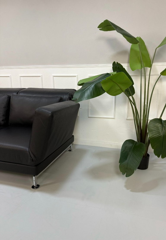 Image 1 of Brühl Moule Sofá Piel Negro Función Dormir Pieza de Exhibición