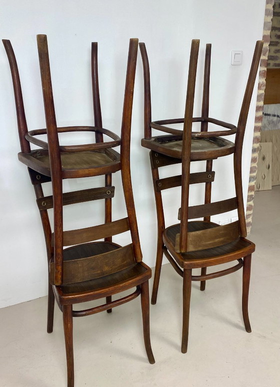 Image 1 of Juego de 4 sillas Thonet de madera de haya – Modelo n.º 651
