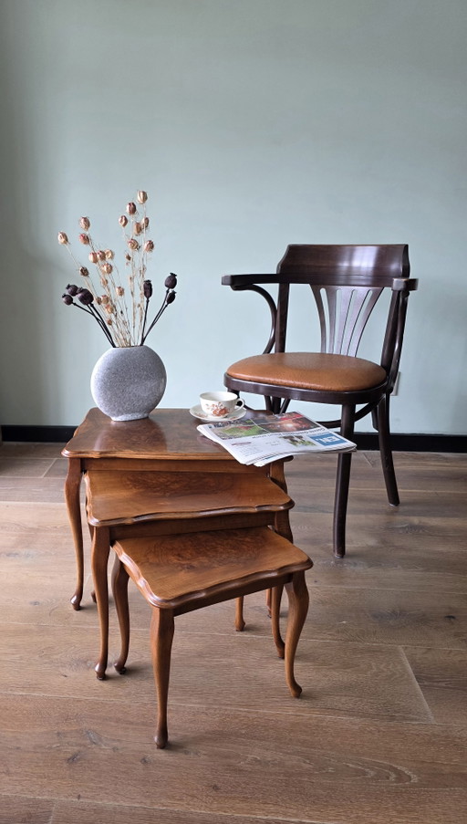 Elegant vintage nesting tables with burl veneer