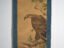 Antikes japanisches Kakejiku eines Raubvogels in Farbe auf Papier – Japan, circa 1900 (photo 25 of 40)