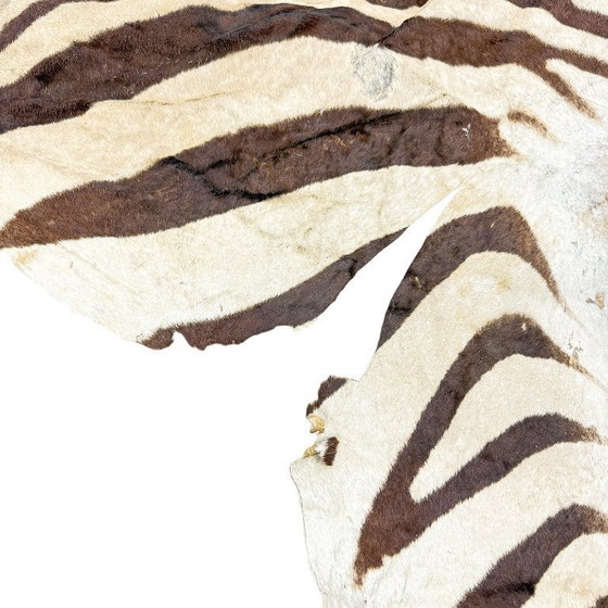 Image 1 of Tappeto vintage in pelle di zebra – autentica pelle di animale africano – oggetto decorativo per interni
