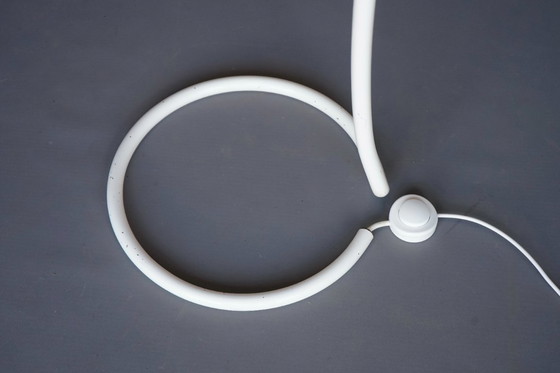 Image 1 of Aldo Van Den Nieuwelaar Globe vloerlamp voor Domani, 1970