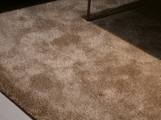 Tapis Millenerpoort Unico