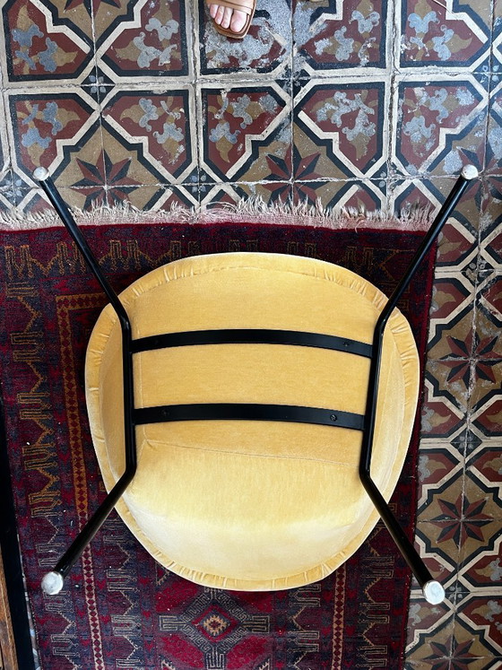 Image 1 of Fauteuil Knoll modèle 369