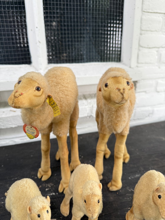 Image 1 of Zeldzame Steiff kameel familie – 5 stuks – met originele labels – ca. 1960/70