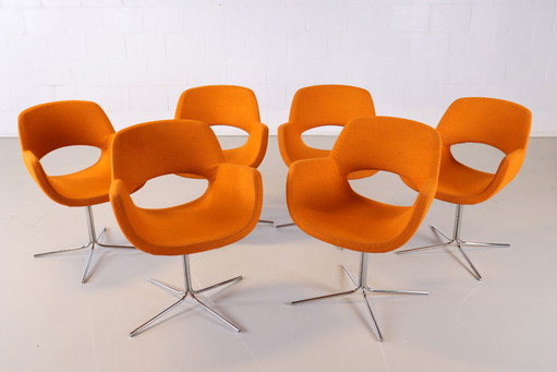 6x Die Anker-Stühle