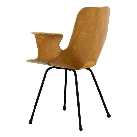 Image 1 of sedia con braccioli in legno curvato di faggio "medea" di vittorio nobili per fratelli tagliabue, italia, 1956