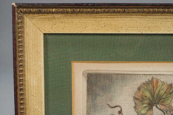 Image 1 of  Alfred Erich Euchler, Still Life, 1920s, Watercolor