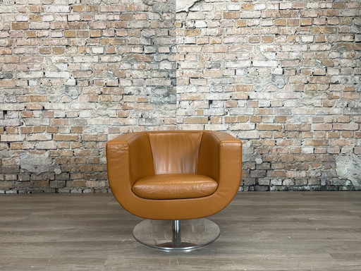B&B Italia Tulip Armchair