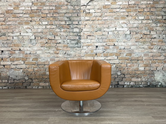 Image 1 of Poltrona Tulip di B&amp;B Italia