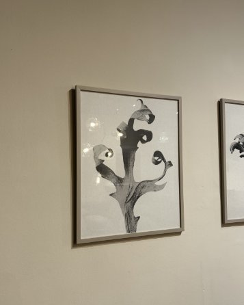 Image 1 of Boconcept - Delphinium Gallery