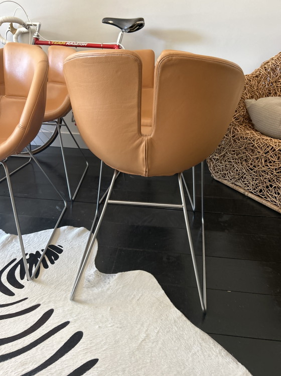Ensemble complet de 6 chaises Moroso Fjord au design haut de gamme – Chaises de salle à manger, Metal, Leather (photo 3 of 6)