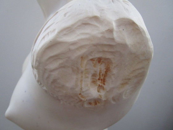 Image 1 of Busto antiguo, ¿Afrodita?