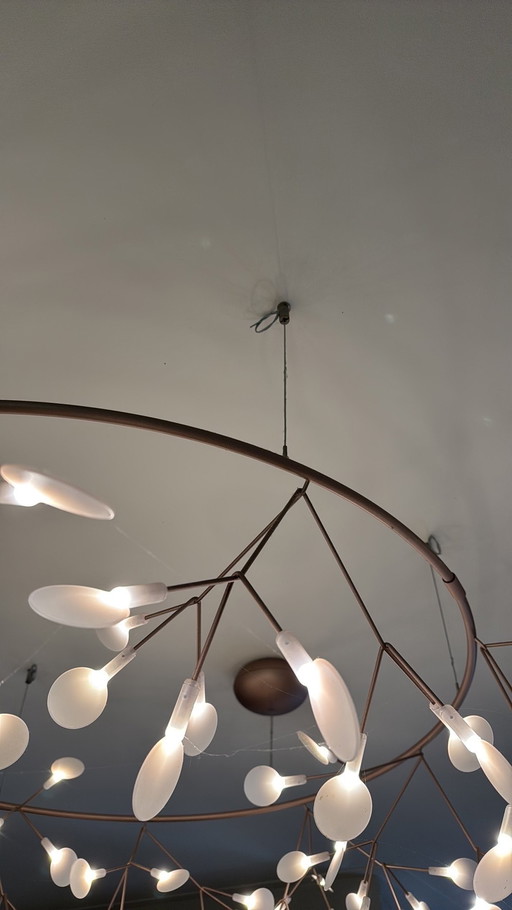 The small big O heracleum Moooi