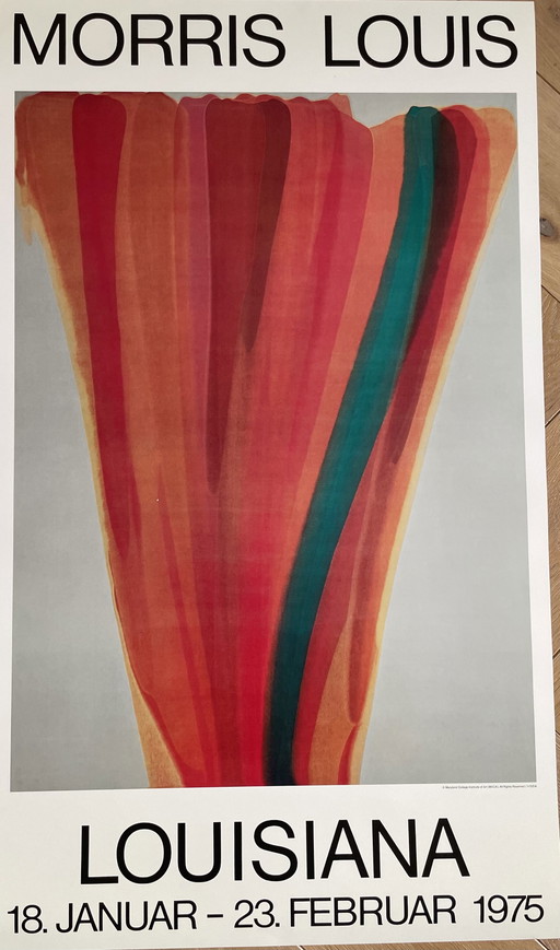 Morris Louis dopo (1912-1962), Louisiana 1975, Copyright Maryland College Institute of Art (MICA), Tutti i diritti riservati/VIS