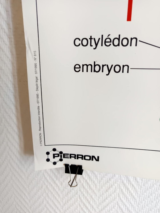 Image 1 of Vintage bloemen school poster