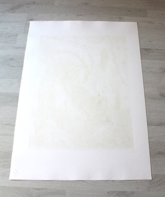 Image 1 of Gunter DAMISCH "2 POLE" eau-forte - édition 17 - signée - numérotée (75 x 53 cm)