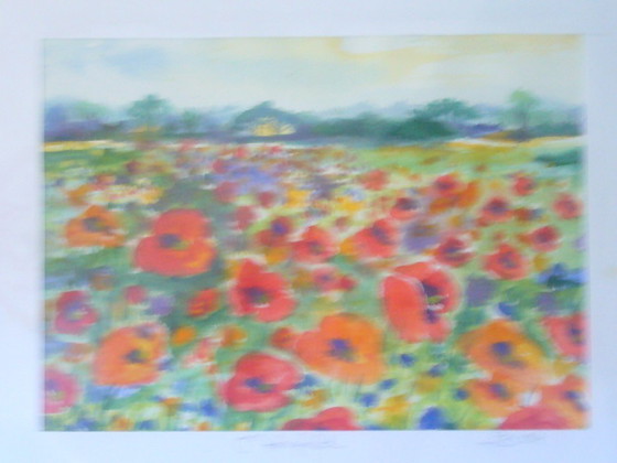 Image 1 of Aquarelle originale - Motif/titre : Prairie de coquelicots
