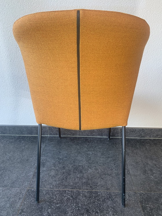 Image 1 of 8x dining or conference chairs, brand Montis, model Calla