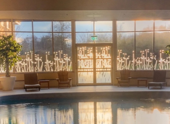 Image 1 of Piscina vacía — fotografía en color impresa en una caja de luz de 100x150 cm.